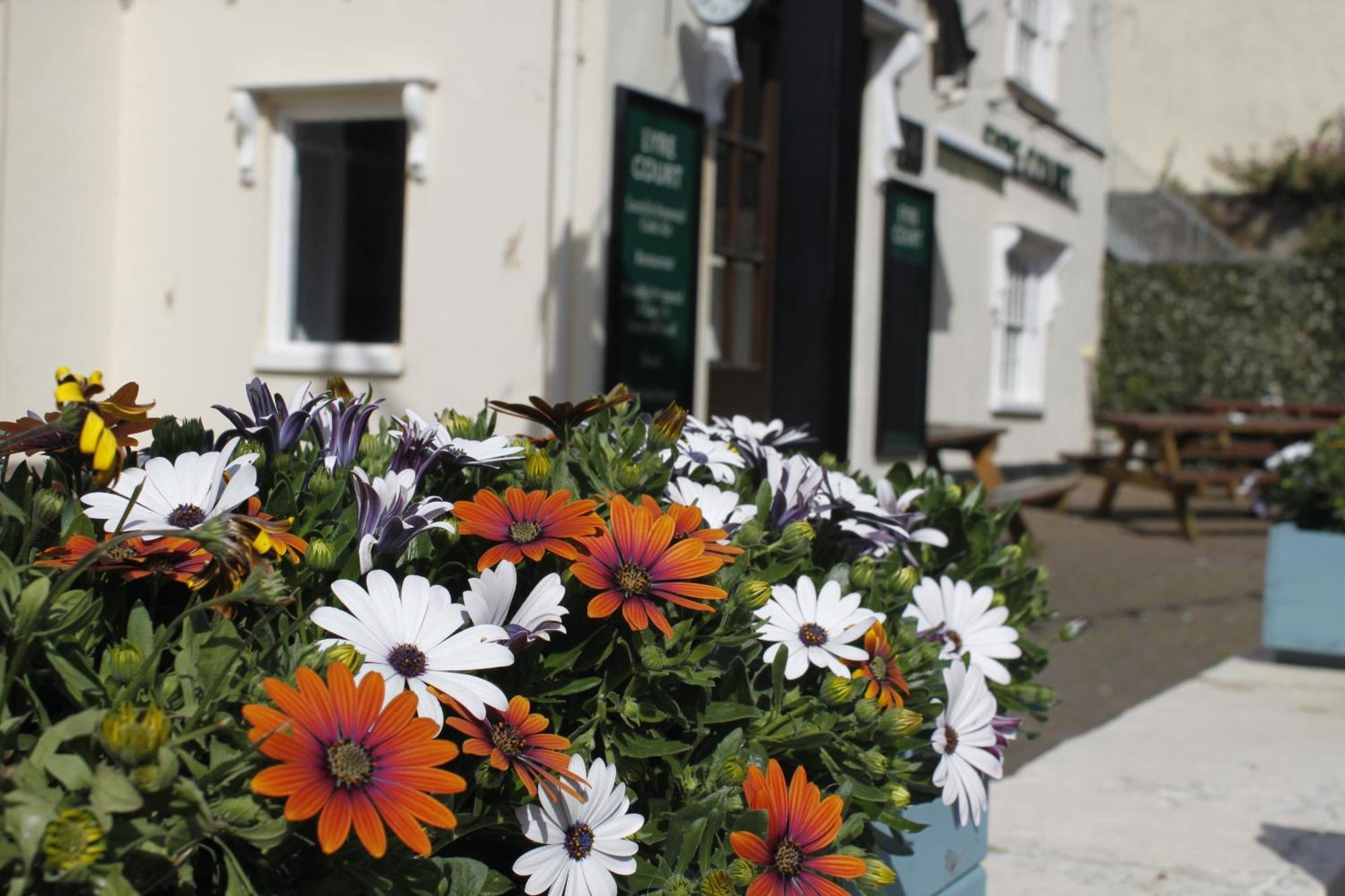 Bed and Breakfast The Eyre Court Seaton  Exteriér fotografie